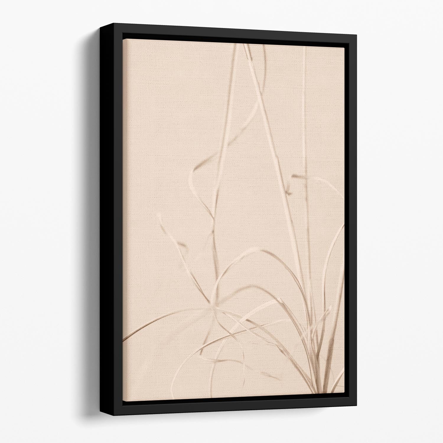 Dried Grass Beige 01 Floating Framed Canvas - Canvas Art Rocks - 1