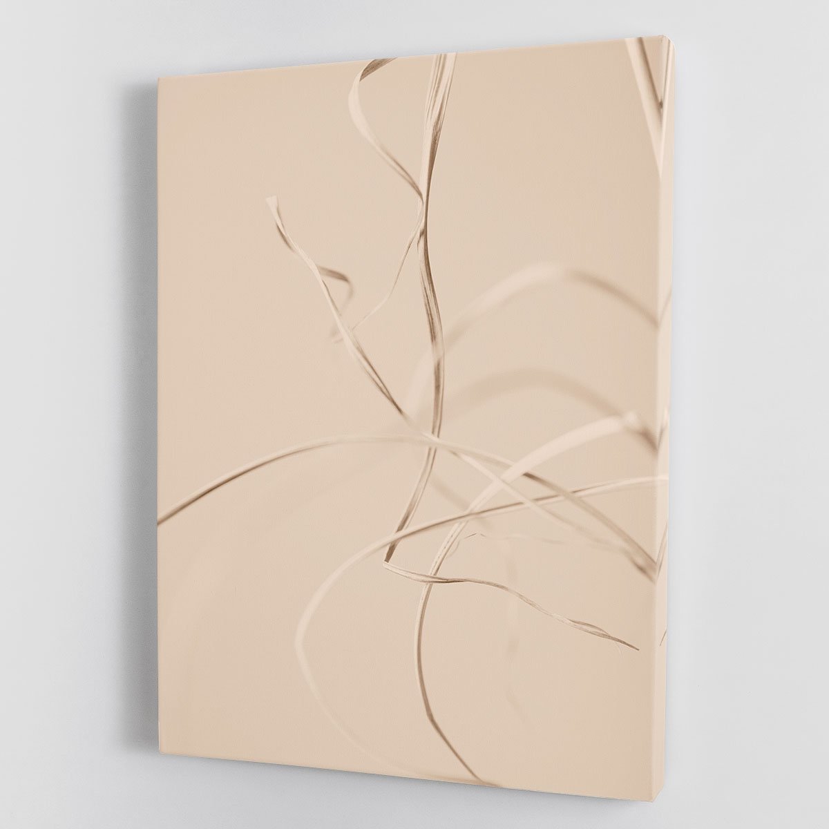 Dried Grass Beige 02 Canvas Print or Poster - Canvas Art Rocks - 1