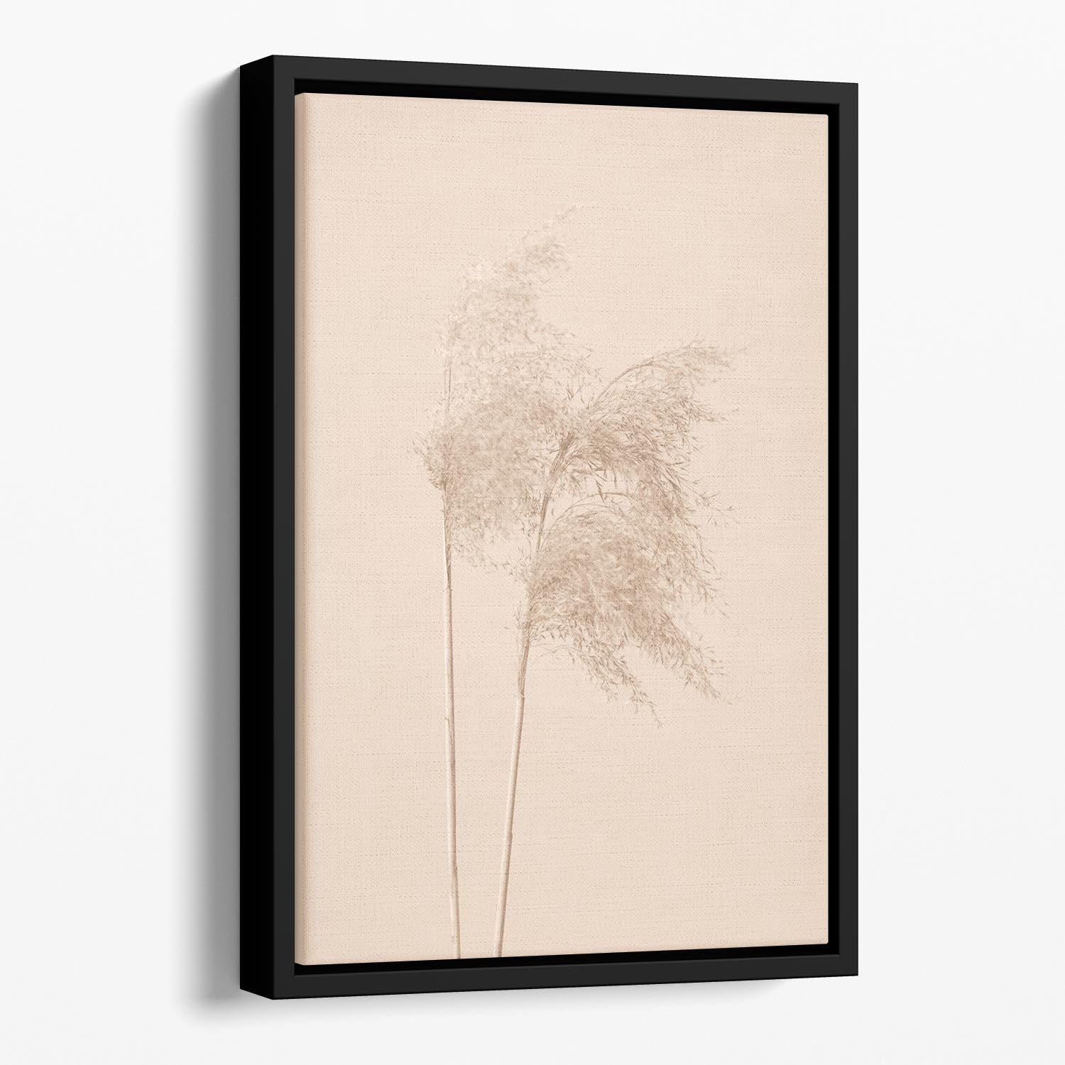 Reed Grass Beige 02 Floating Framed Canvas - Canvas Art Rocks - 1