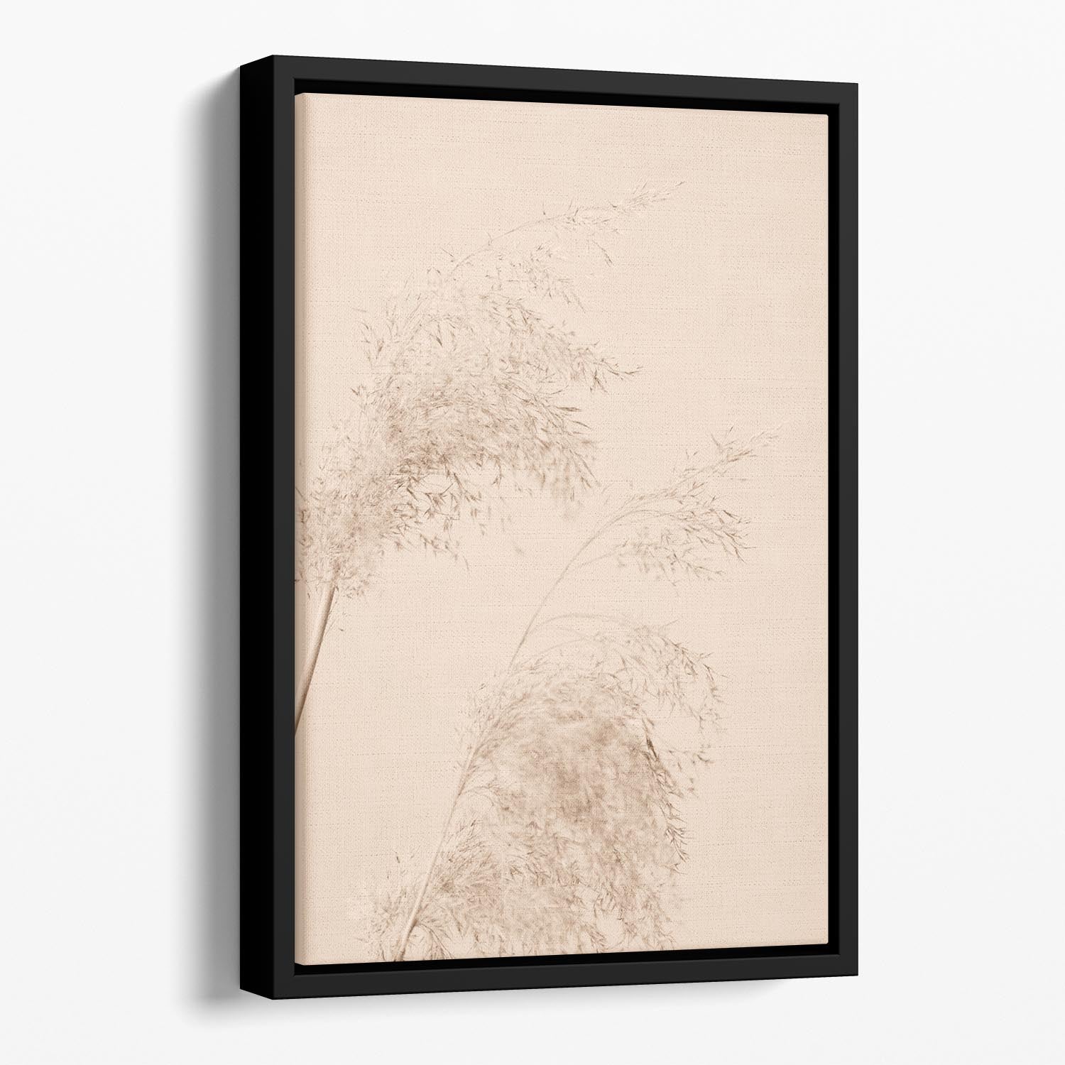 Reed Grass Beige 06 Floating Framed Canvas - Canvas Art Rocks - 1