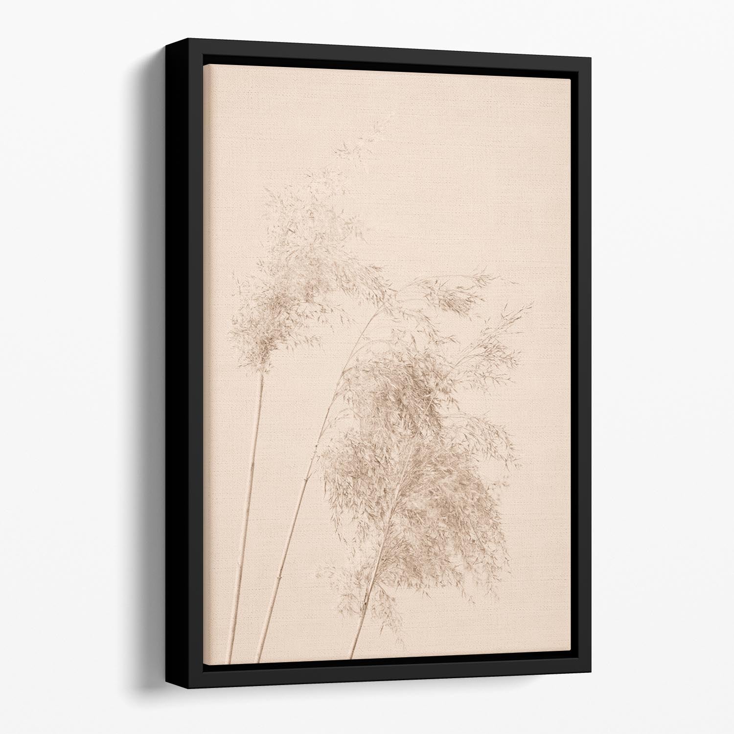 Reed Grass Beige 07 Floating Framed Canvas - Canvas Art Rocks - 1