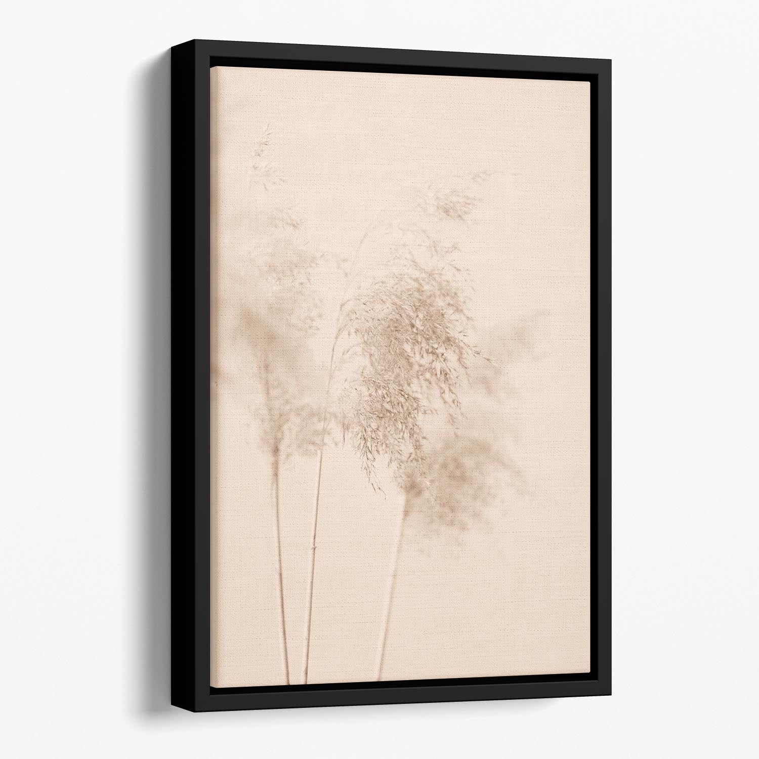 Reed Grass Beige 09 Floating Framed Canvas - Canvas Art Rocks - 1