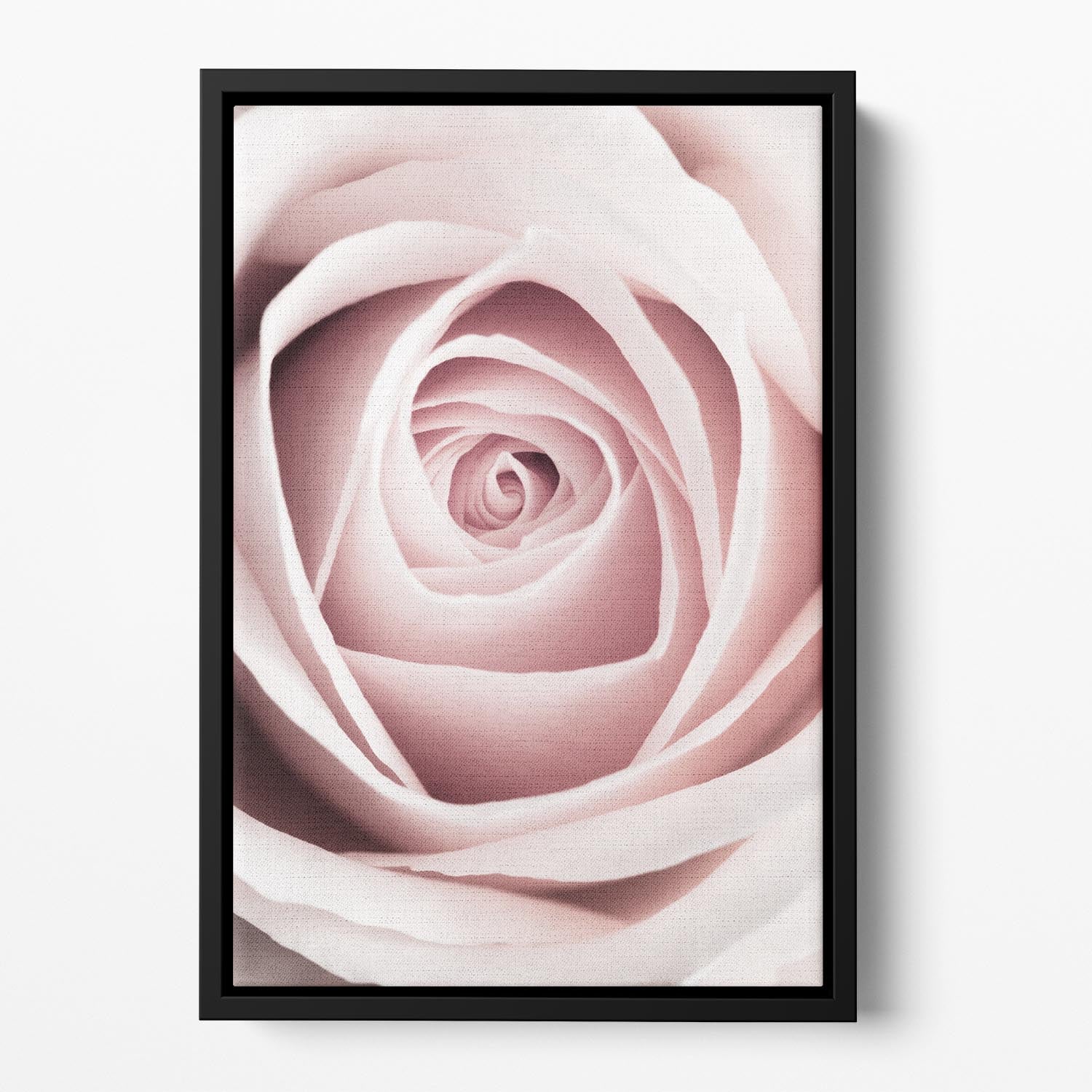 Pink Rose No 1 Floating Framed Canvas - Canvas Art Rocks - 2