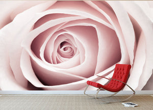 Pink Rose No 1 Wall Mural Wallpaper - Canvas Art Rocks - 2