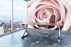 Pink Rose No 1 Wall Mural Wallpaper - Canvas Art Rocks - 3