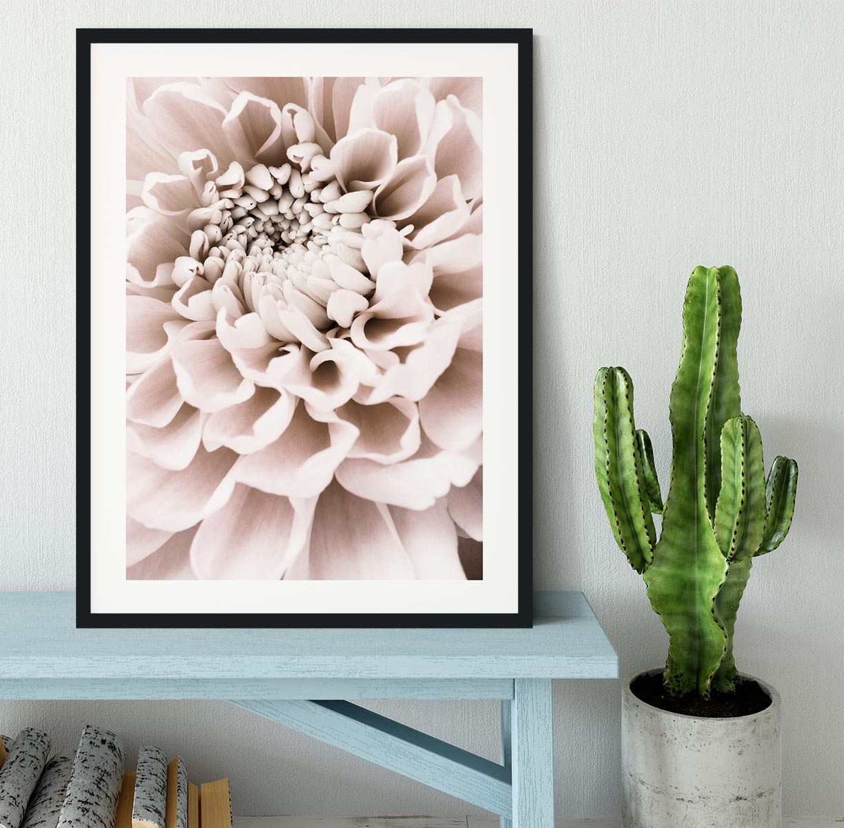 Chrysanthemum No 01 Framed Print - Canvas Art Rocks - 1