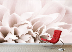 Chrysanthemum No 02 Wall Mural Wallpaper - Canvas Art Rocks - 2