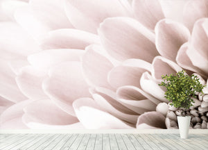 Chrysanthemum No 03 Wall Mural Wallpaper - Canvas Art Rocks - 4