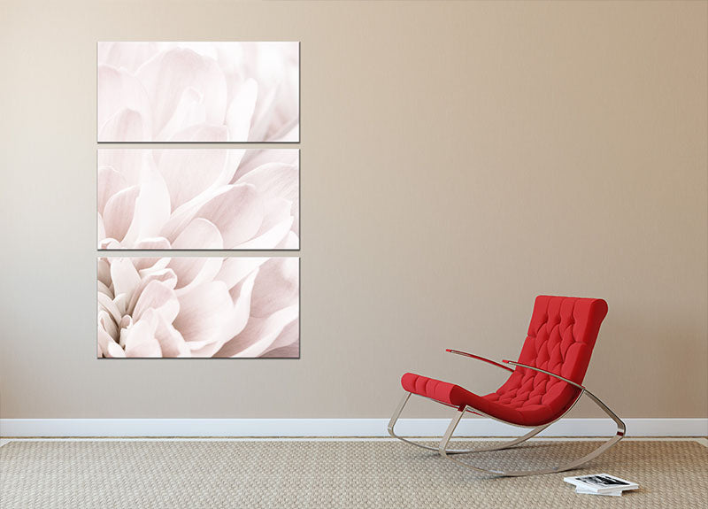 Chrysanthemum No 04 3 Split Panel Canvas Print - Canvas Art Rocks - 2
