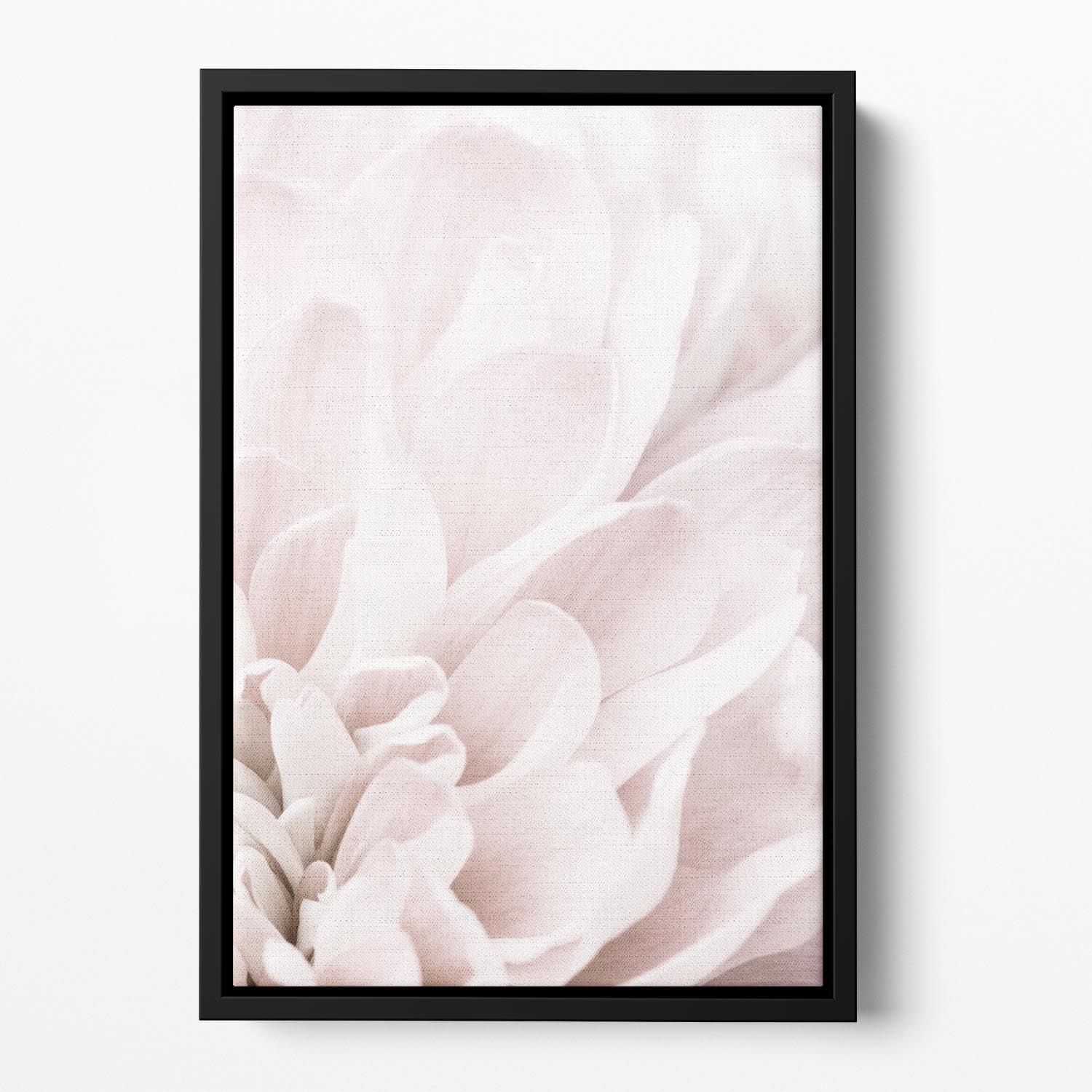 Chrysanthemum No 04 Floating Framed Canvas - Canvas Art Rocks - 2