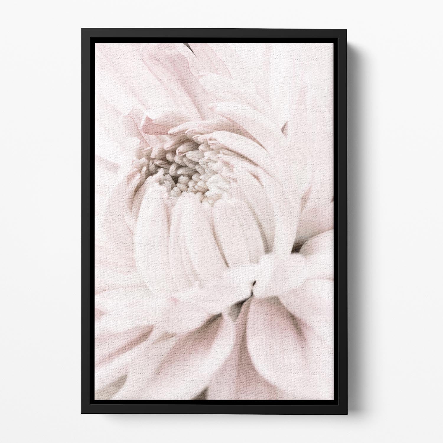 Chrysanthemum No 05 Floating Framed Canvas - Canvas Art Rocks - 2