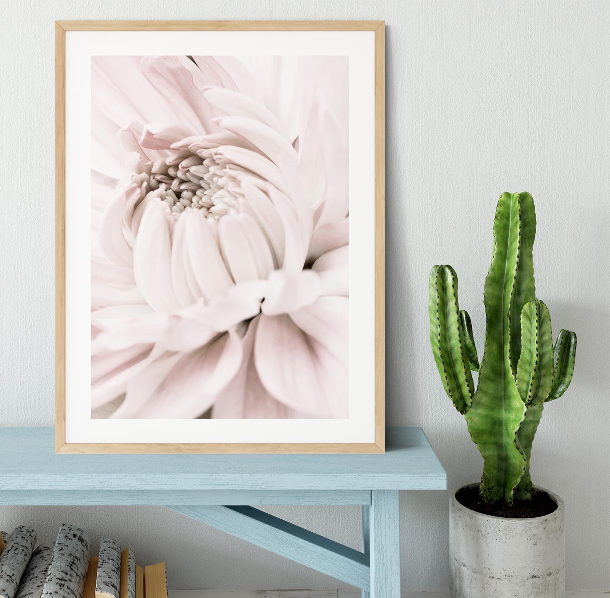 Chrysanthemum No 05 Framed Print - Canvas Art Rocks - 3