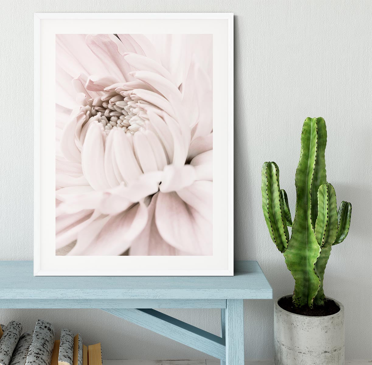 Chrysanthemum No 05 Framed Print - Canvas Art Rocks - 5