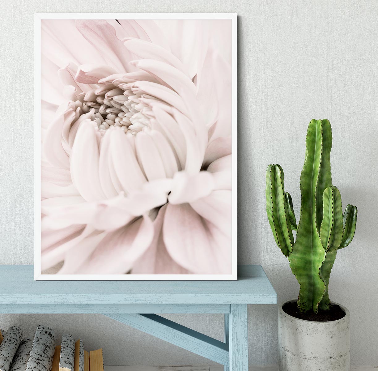 Chrysanthemum No 05 Framed Print - Canvas Art Rocks -6