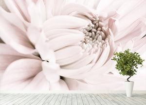 Chrysanthemum No 05 Wall Mural Wallpaper - Canvas Art Rocks - 4