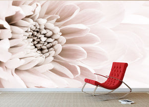 Chrysanthemum No 06 Wall Mural Wallpaper - Canvas Art Rocks - 2