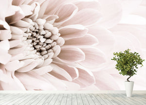 Chrysanthemum No 06 Wall Mural Wallpaper - Canvas Art Rocks - 4