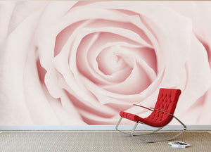 Pink Rose No 02 Wall Mural Wallpaper - Canvas Art Rocks - 2