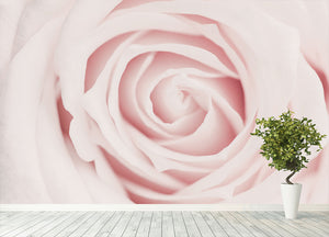 Pink Rose No 02 Wall Mural Wallpaper - Canvas Art Rocks - 4