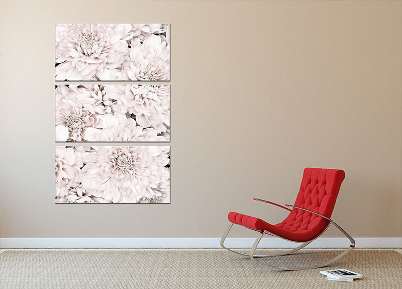 Chrysanthemum No 07 3 Split Panel Canvas Print - Canvas Art Rocks - 2