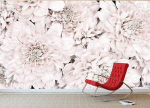 Chrysanthemum No 07 Wall Mural Wallpaper - Canvas Art Rocks - 2