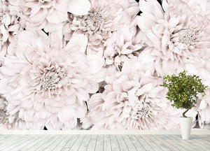 Chrysanthemum No 07 Wall Mural Wallpaper - Canvas Art Rocks - 4