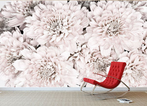 Chrysanthemum No 09 Wall Mural Wallpaper - Canvas Art Rocks - 2