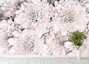 Chrysanthemum No 09 Wall Mural Wallpaper - Canvas Art Rocks - 4