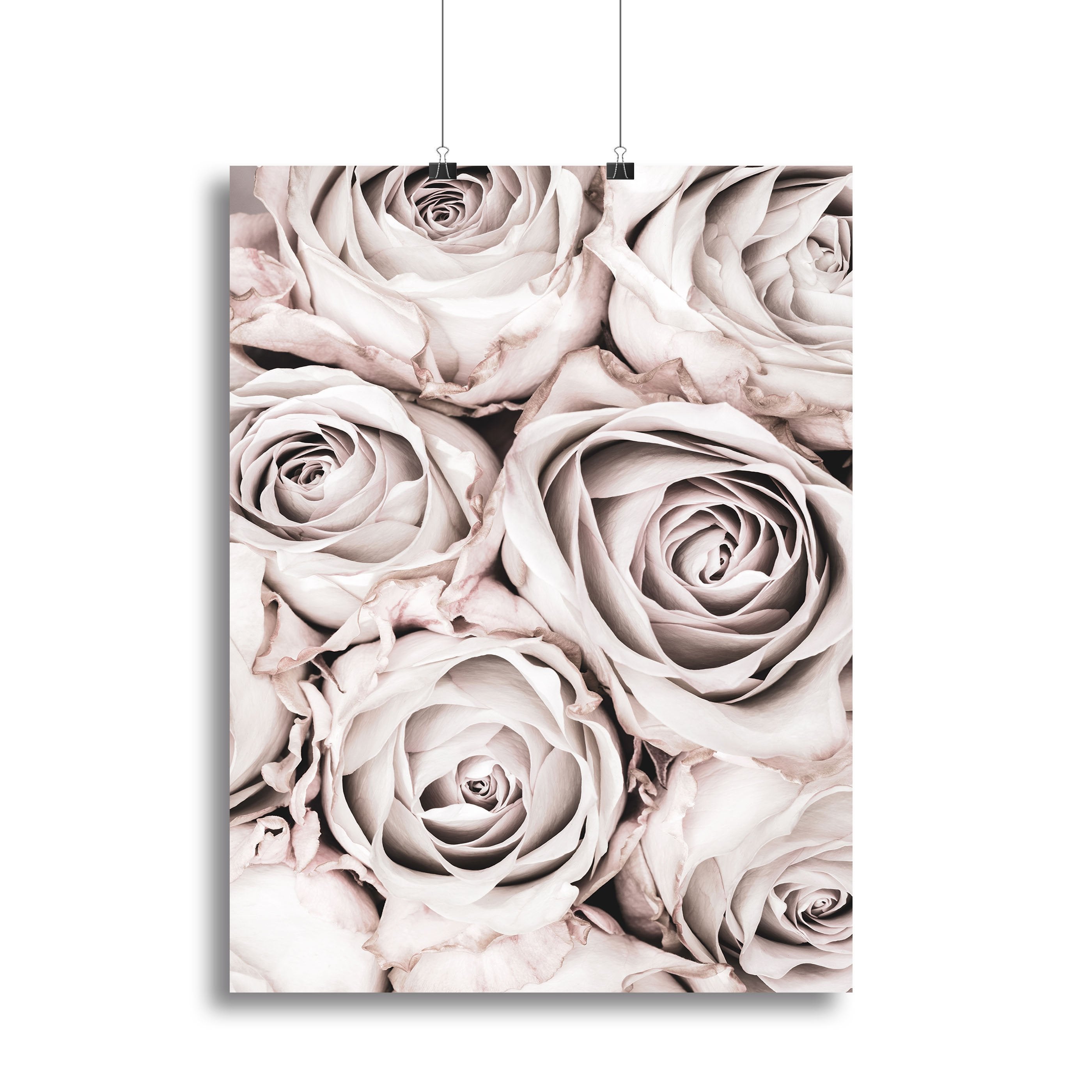 Grey Roses No 01 Canvas Print or Poster - Canvas Art Rocks - 2