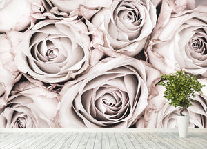 Grey Roses No 01 Wall Mural Wallpaper - Canvas Art Rocks - 4