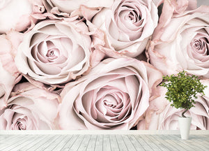 Pink Roses No 01 Wall Mural Wallpaper - Canvas Art Rocks - 4