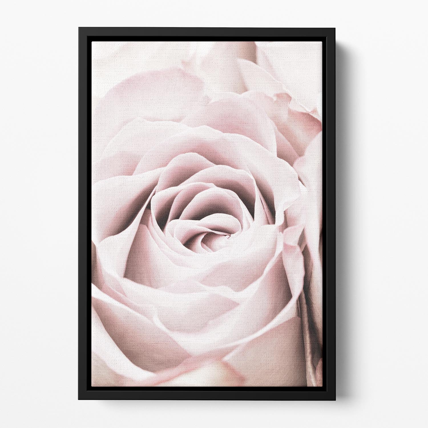 Pink Rose No 06 Floating Framed Canvas - Canvas Art Rocks - 2