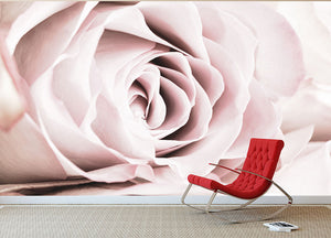 Pink Rose No 06 Wall Mural Wallpaper - Canvas Art Rocks - 2