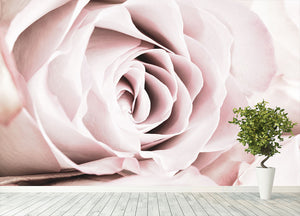 Pink Rose No 06 Wall Mural Wallpaper - Canvas Art Rocks - 4