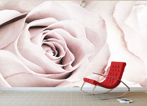 Pink Rose No 05 Wall Mural Wallpaper - Canvas Art Rocks - 2