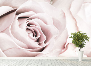 Pink Rose No 05 Wall Mural Wallpaper - Canvas Art Rocks - 4