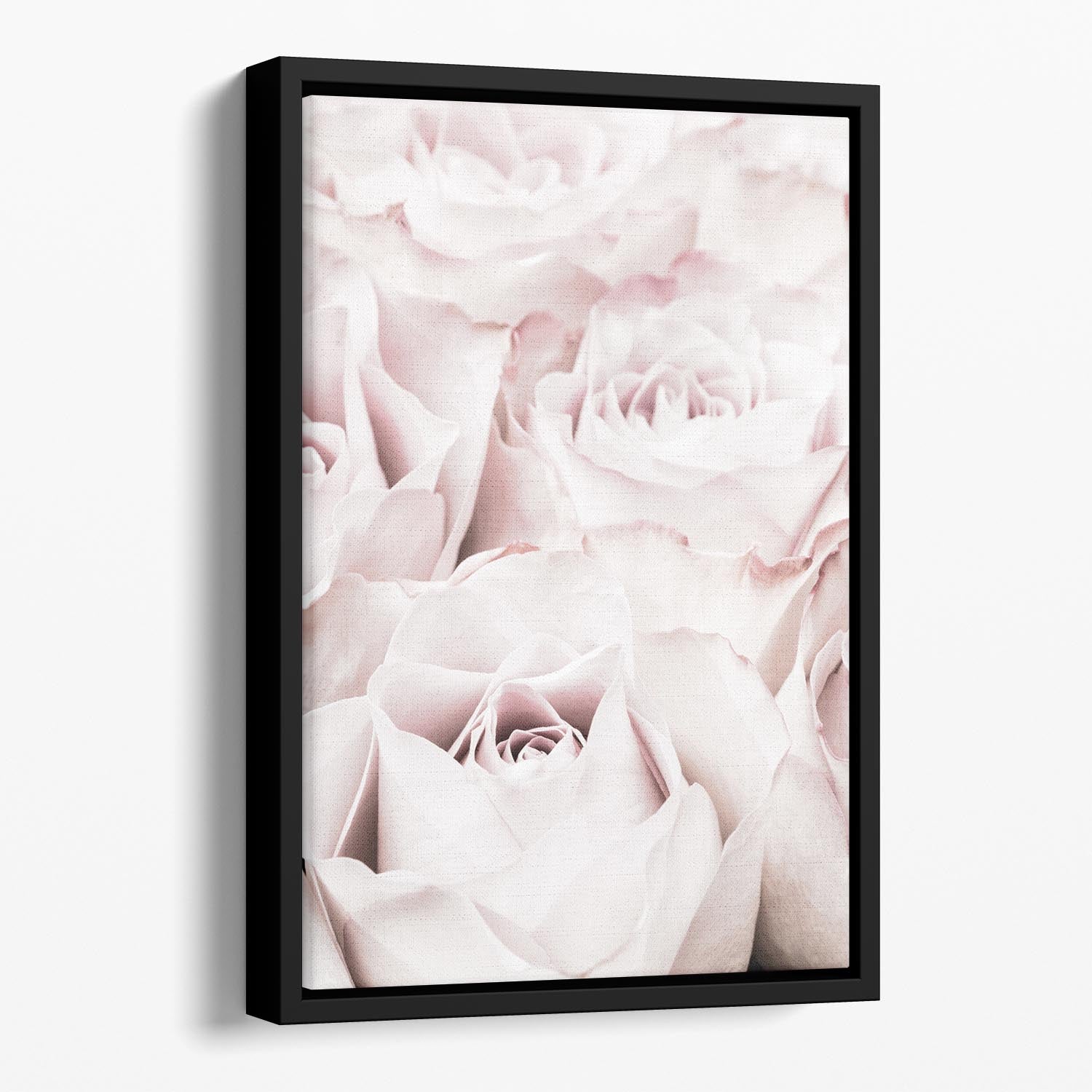 Pink Roses No 04 Floating Framed Canvas - Canvas Art Rocks - 1