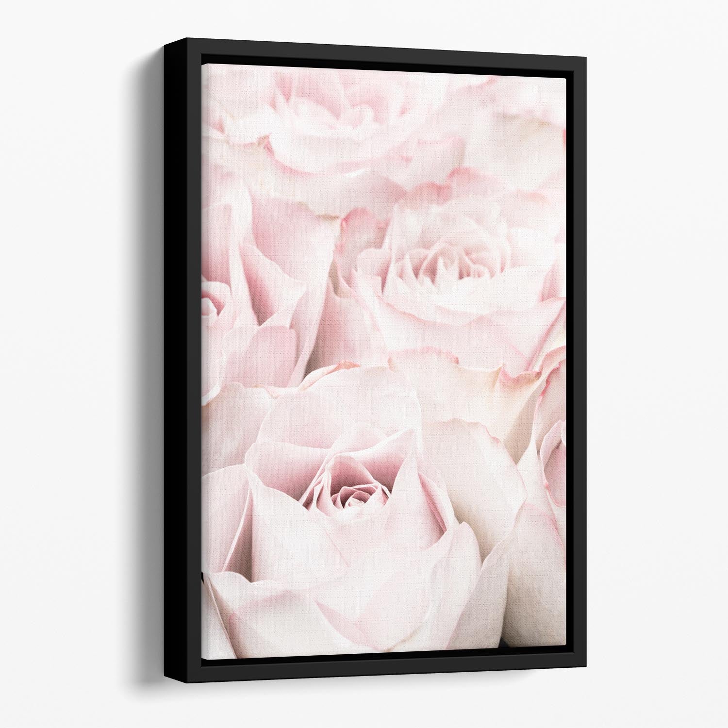 Pink Roses 05 Floating Framed Canvas - Canvas Art Rocks - 1