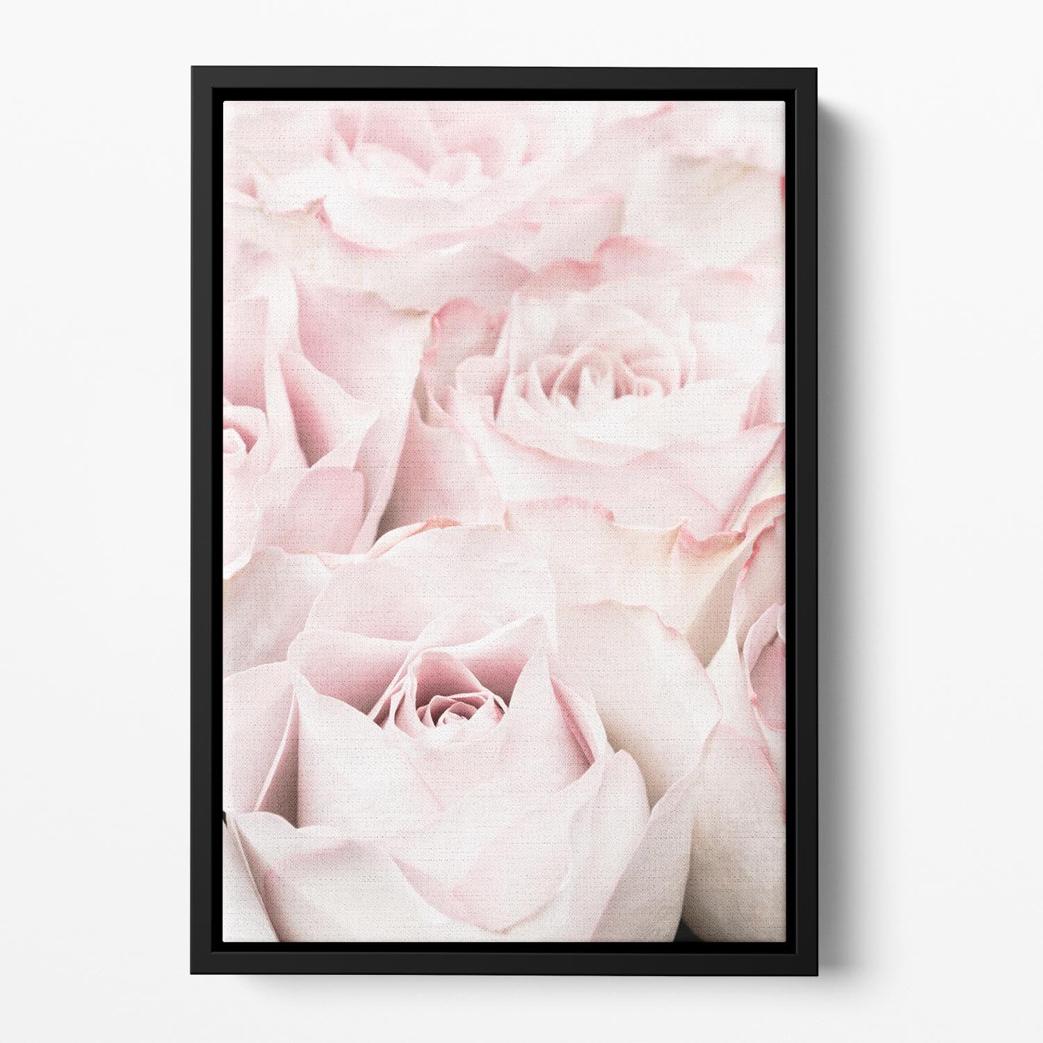 Pink Roses 05 Floating Framed Canvas - Canvas Art Rocks - 2