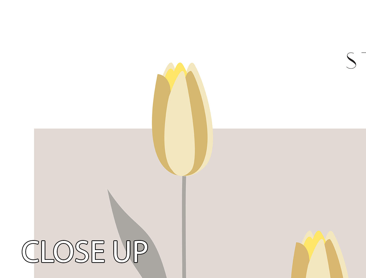 Tulips Studio Bac 3 Split Panel Canvas Print - Canvas Art Rocks - 3