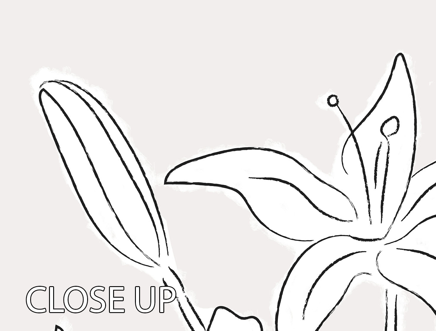Lillies No 03 3 Split Panel Canvas Print - Canvas Art Rocks - 3