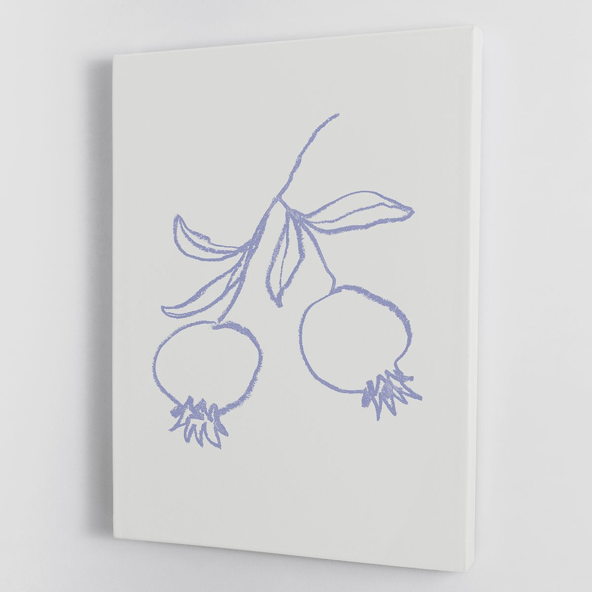 Pomegranate Lilac Canvas Print or Poster - Canvas Art Rocks - 1