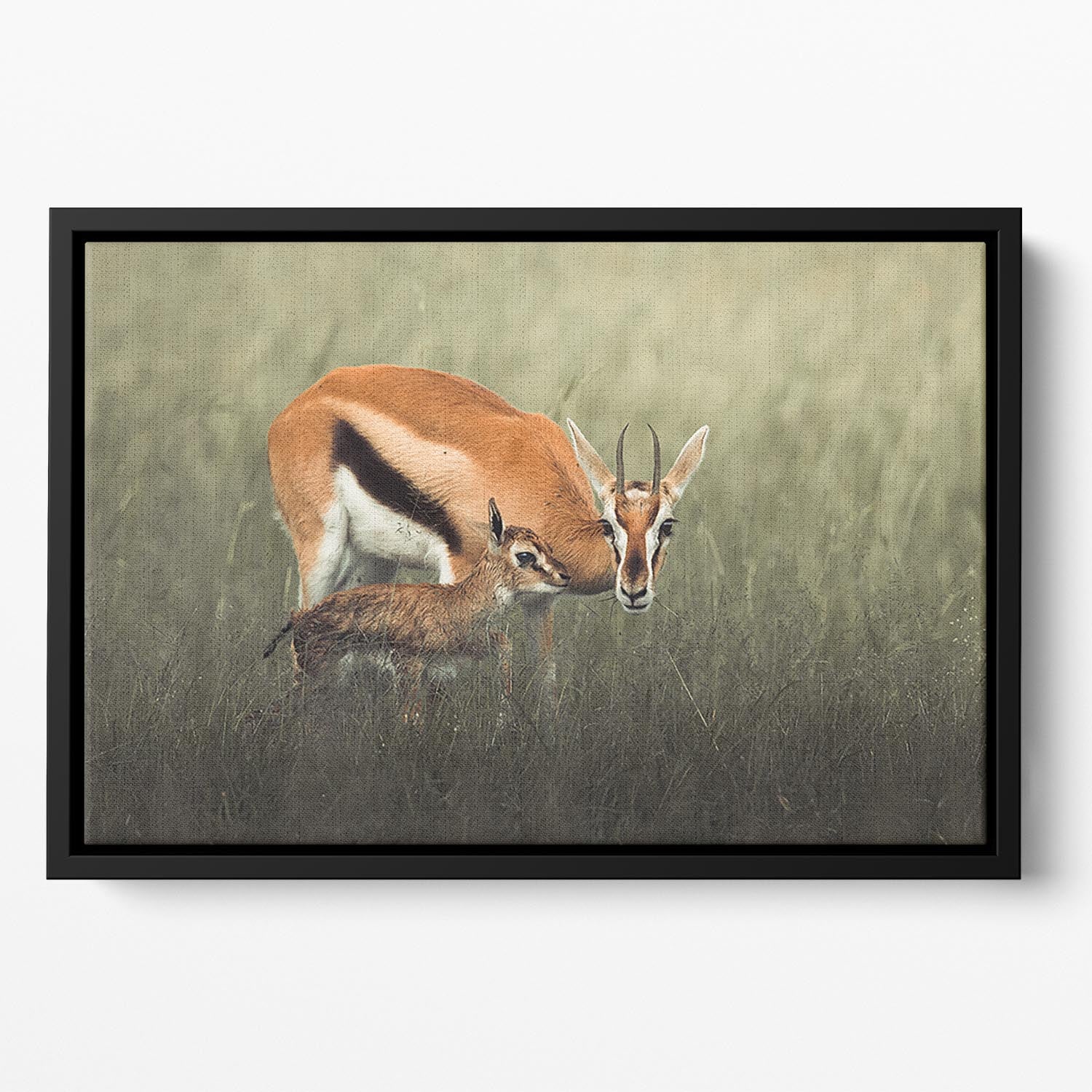 Gazelles Grazing Floating Framed Canvas - Canvas Art Rocks - 2