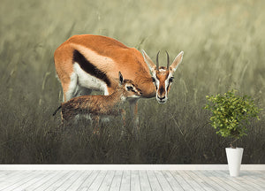 Gazelles Grazing Wall Mural Wallpaper - Canvas Art Rocks - 4