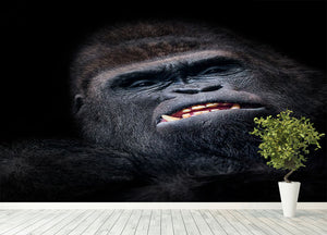 Gorilla face seen from above Wall Mural Wallpaper - Canvas Art Rocks - 4