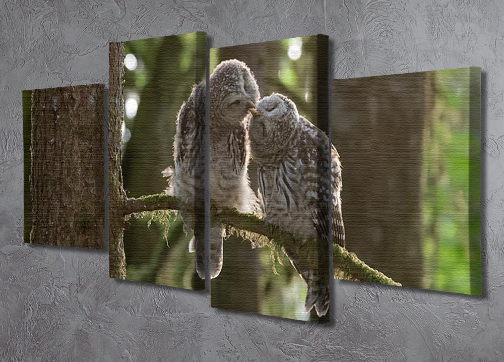 Two Owls Kissing 4 Split Panel Canvas - Canvas Art Rocks - 2