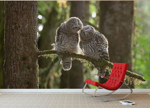 Two Owls Kissing Wall Mural Wallpaper - Canvas Art Rocks - 2