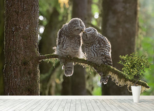 Two Owls Kissing Wall Mural Wallpaper - Canvas Art Rocks - 4