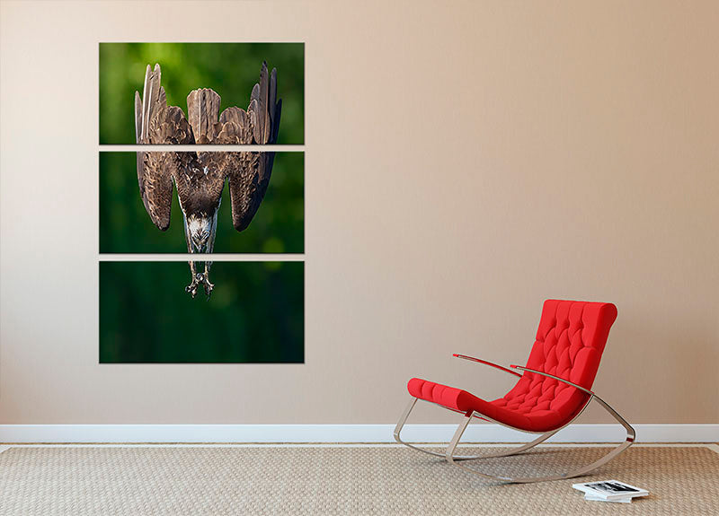 An Eagle Preparing To Attack 3 Split Panel Canvas Print - Canvas Art Rocks - 2