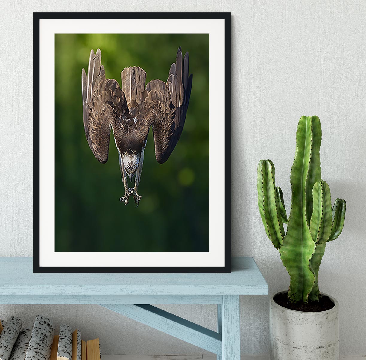 An Eagle Preparing To Attack Framed Print - Canvas Art Rocks - 1